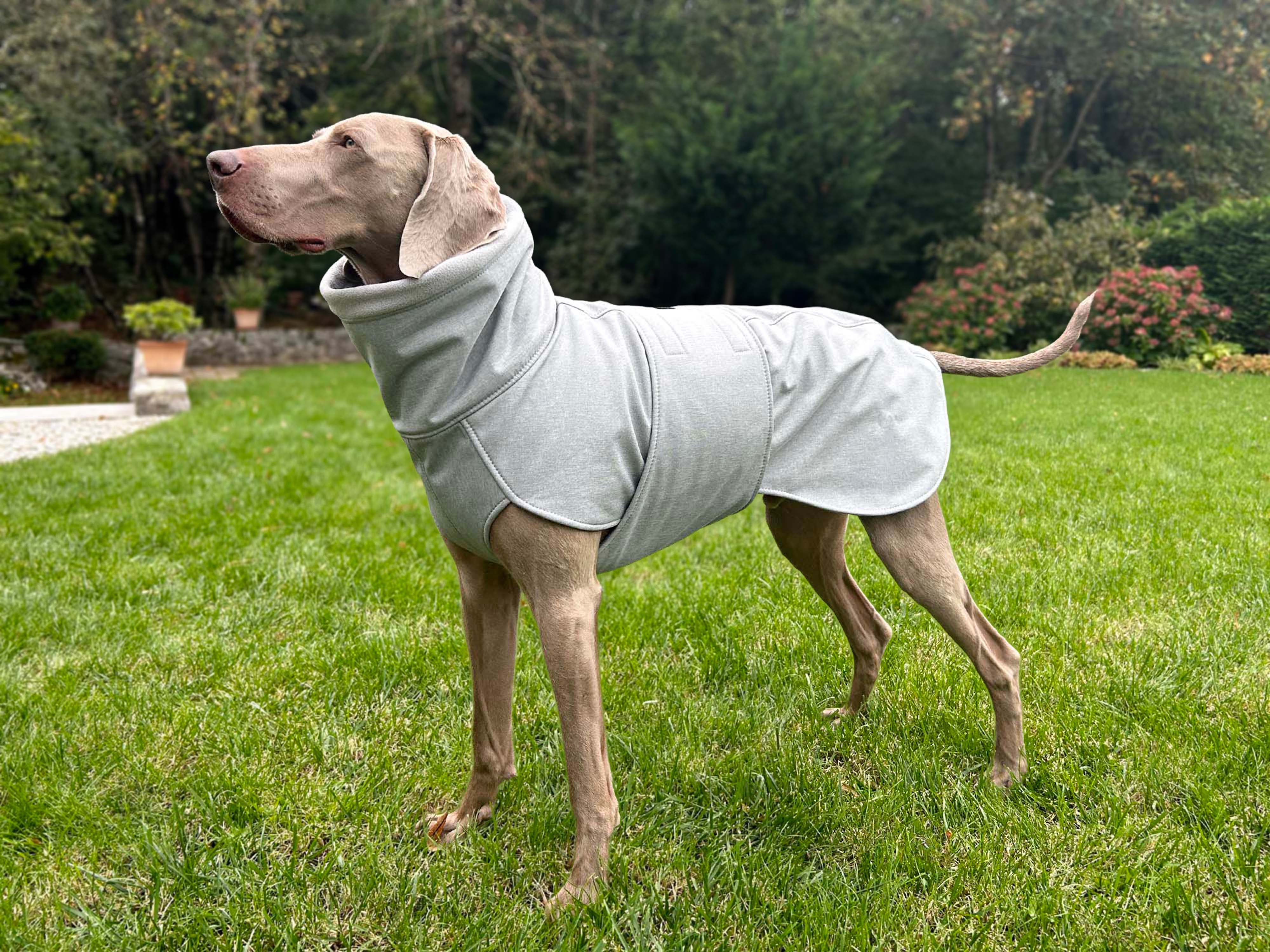 Dog Softshell Coat