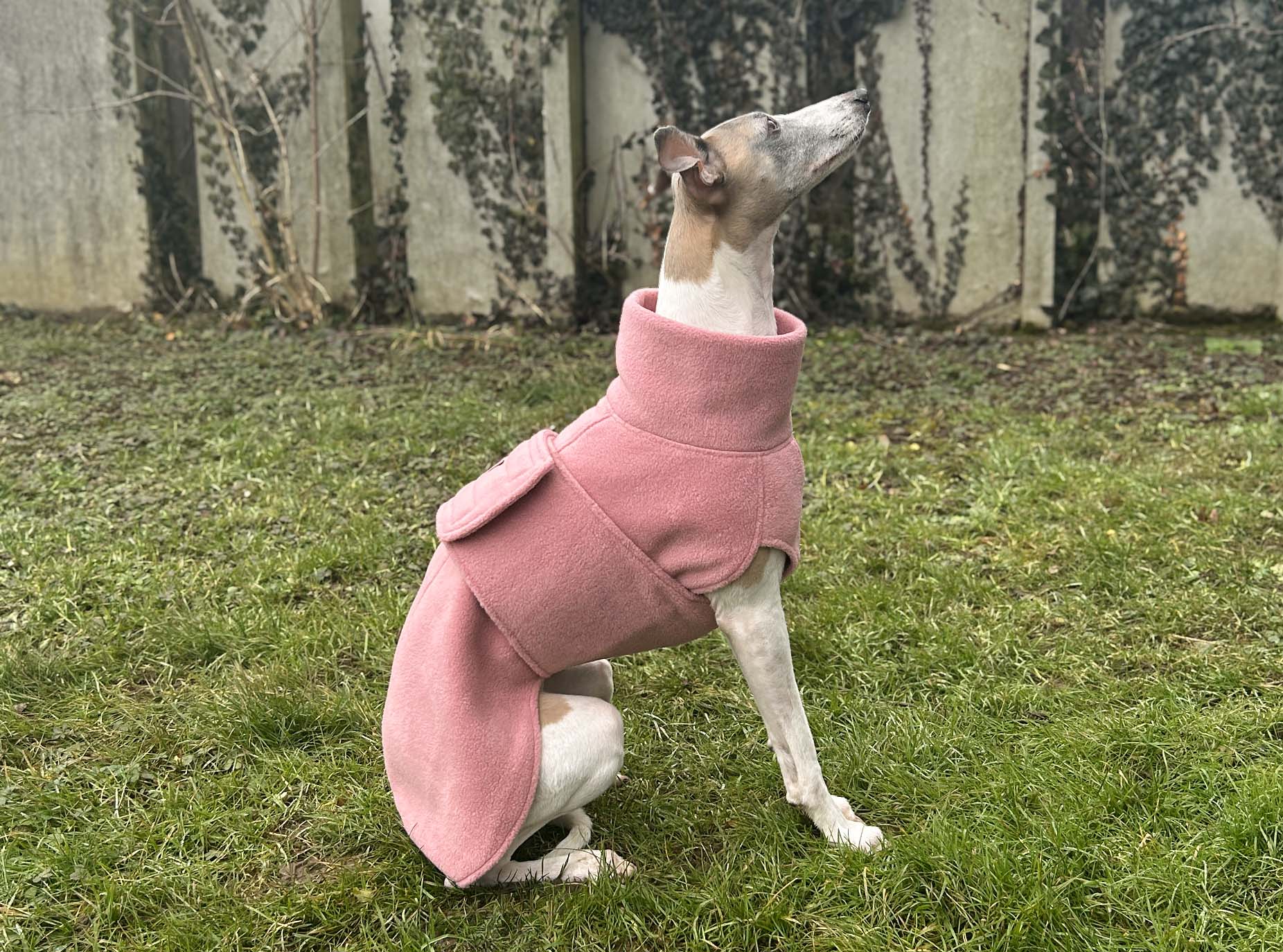 Whippet Fleece Coat