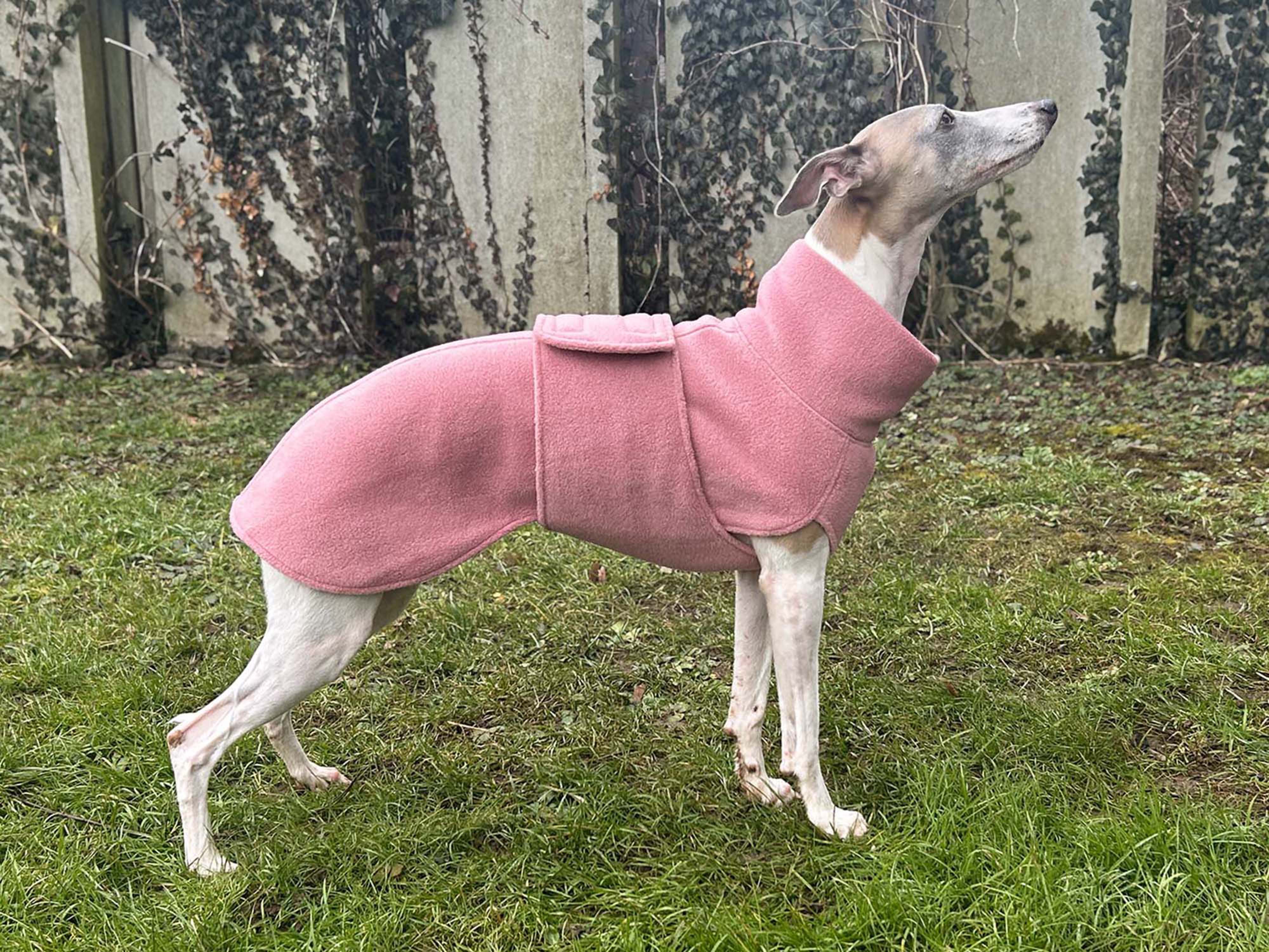 Whippet Fleece Coat