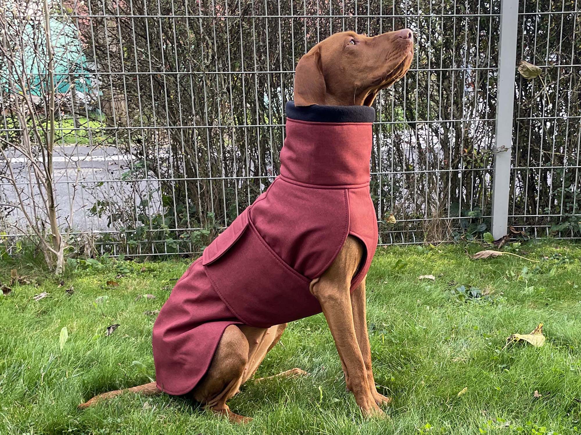 Dog Softshell Coat