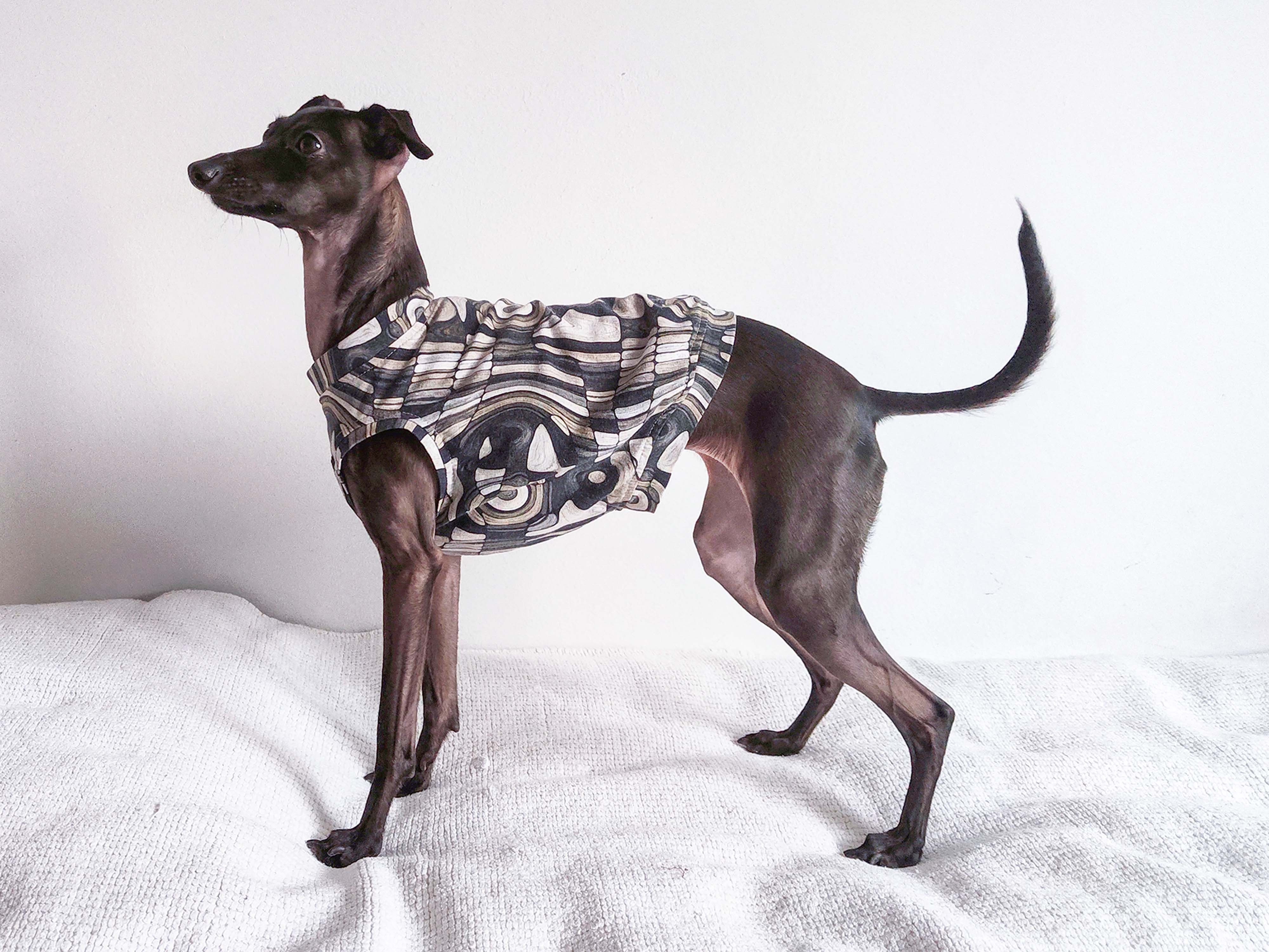 Italian Greyhound Tank Top