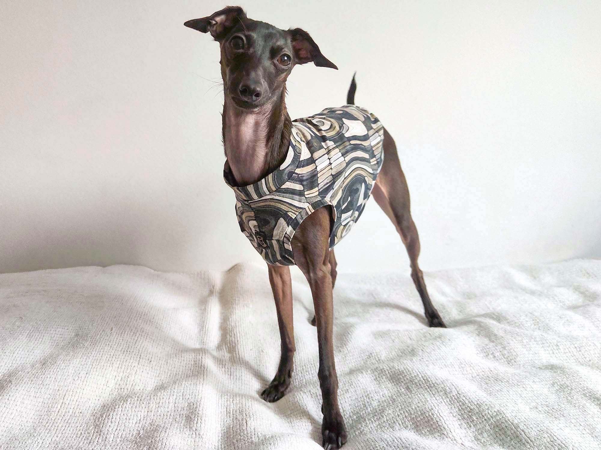 Italian Greyhound Tank Top