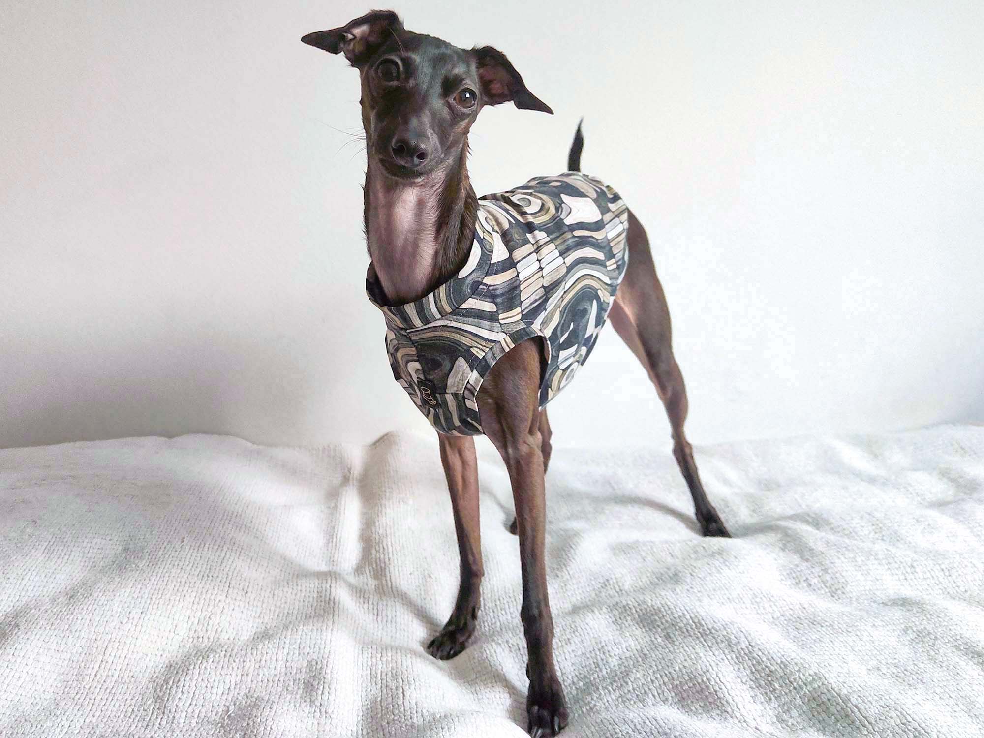 Italian Greyhound Tank Top