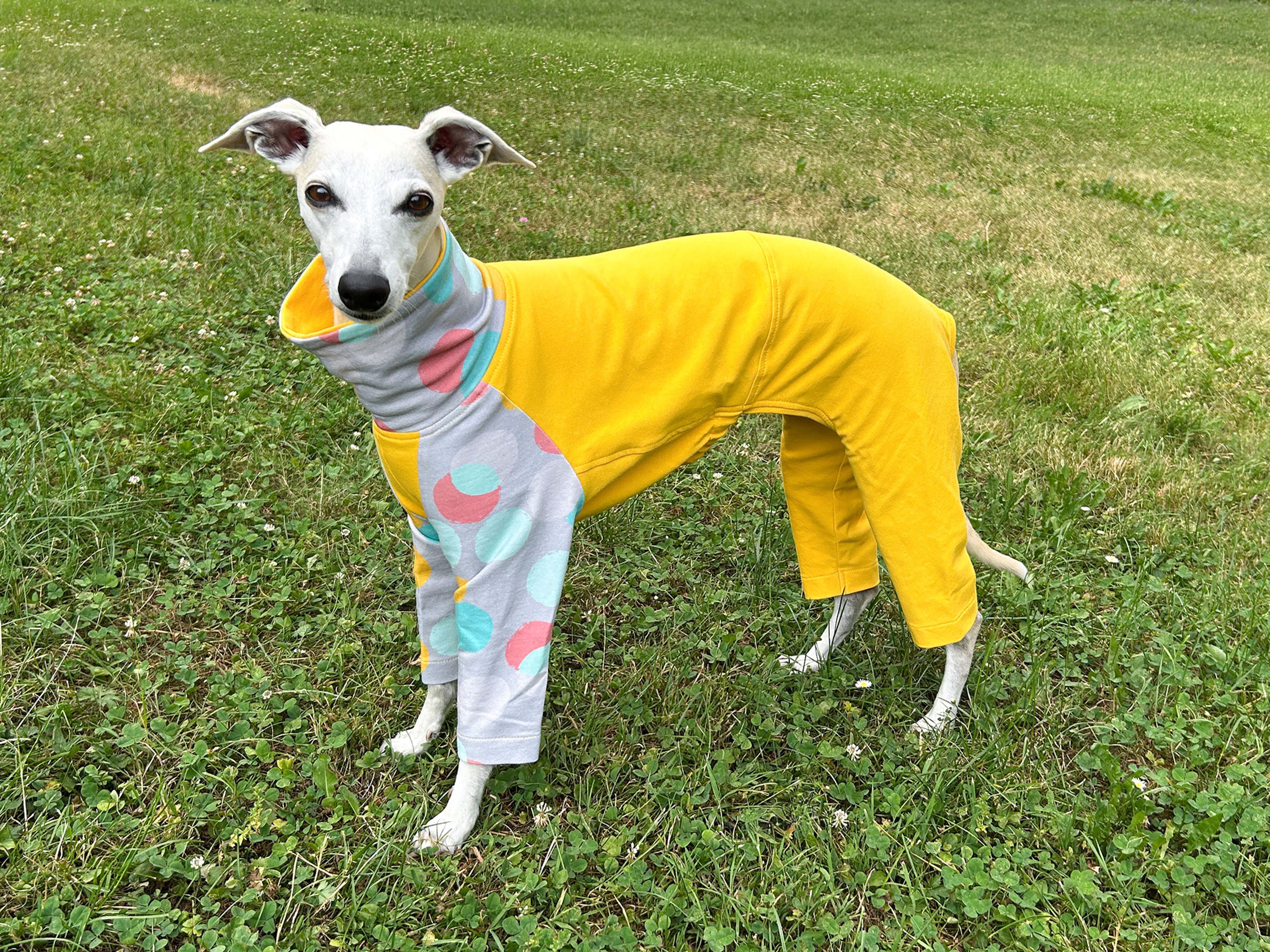 Whippet Raglan Pajamas