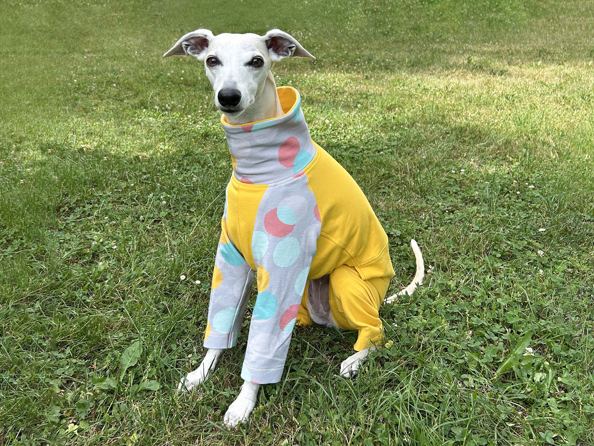 Whippet Raglan Pajamas