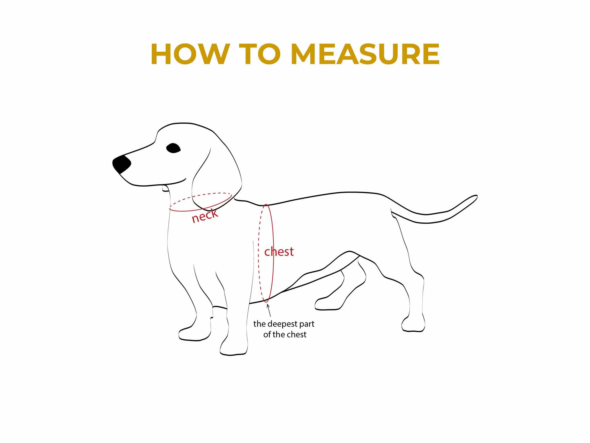 How to measure Topy Harness