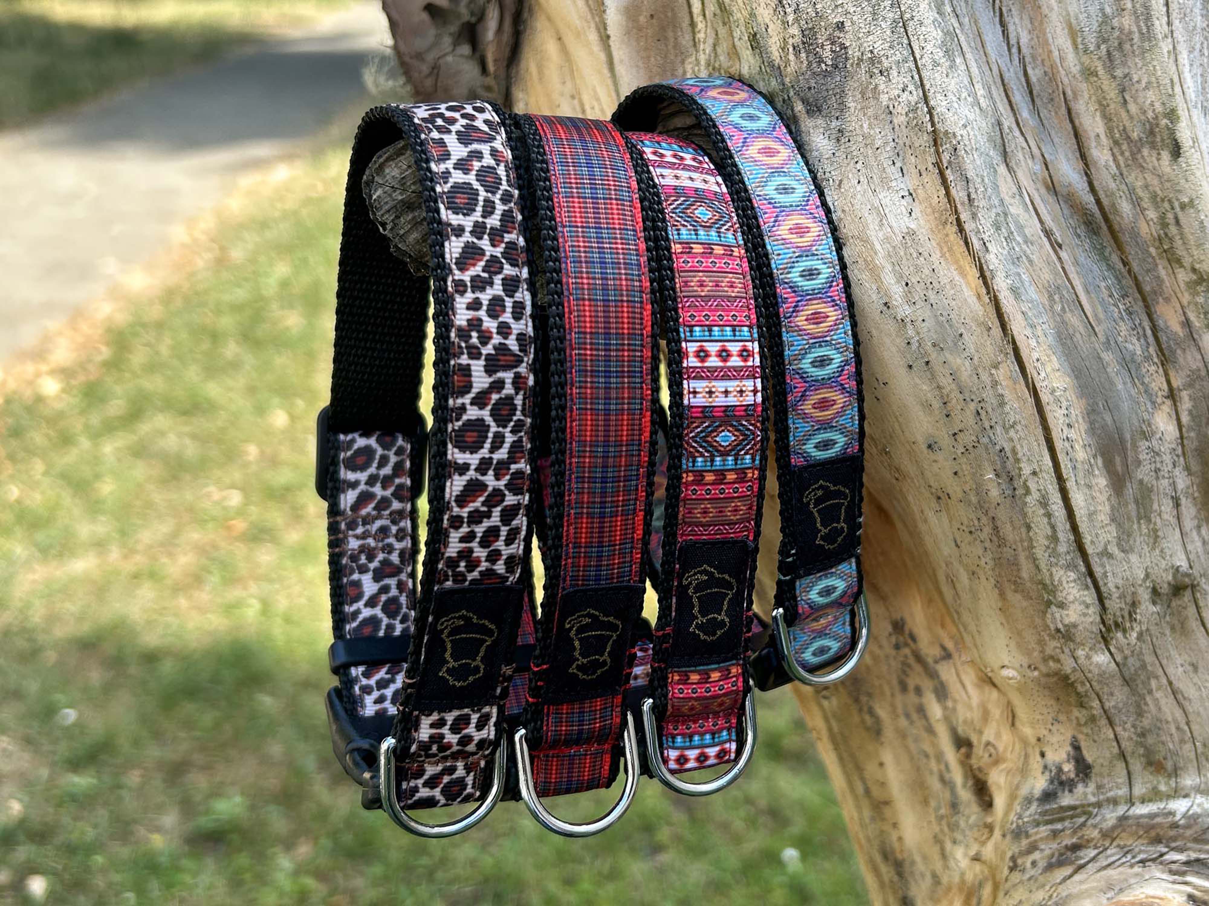 Small Breed Dog Collar