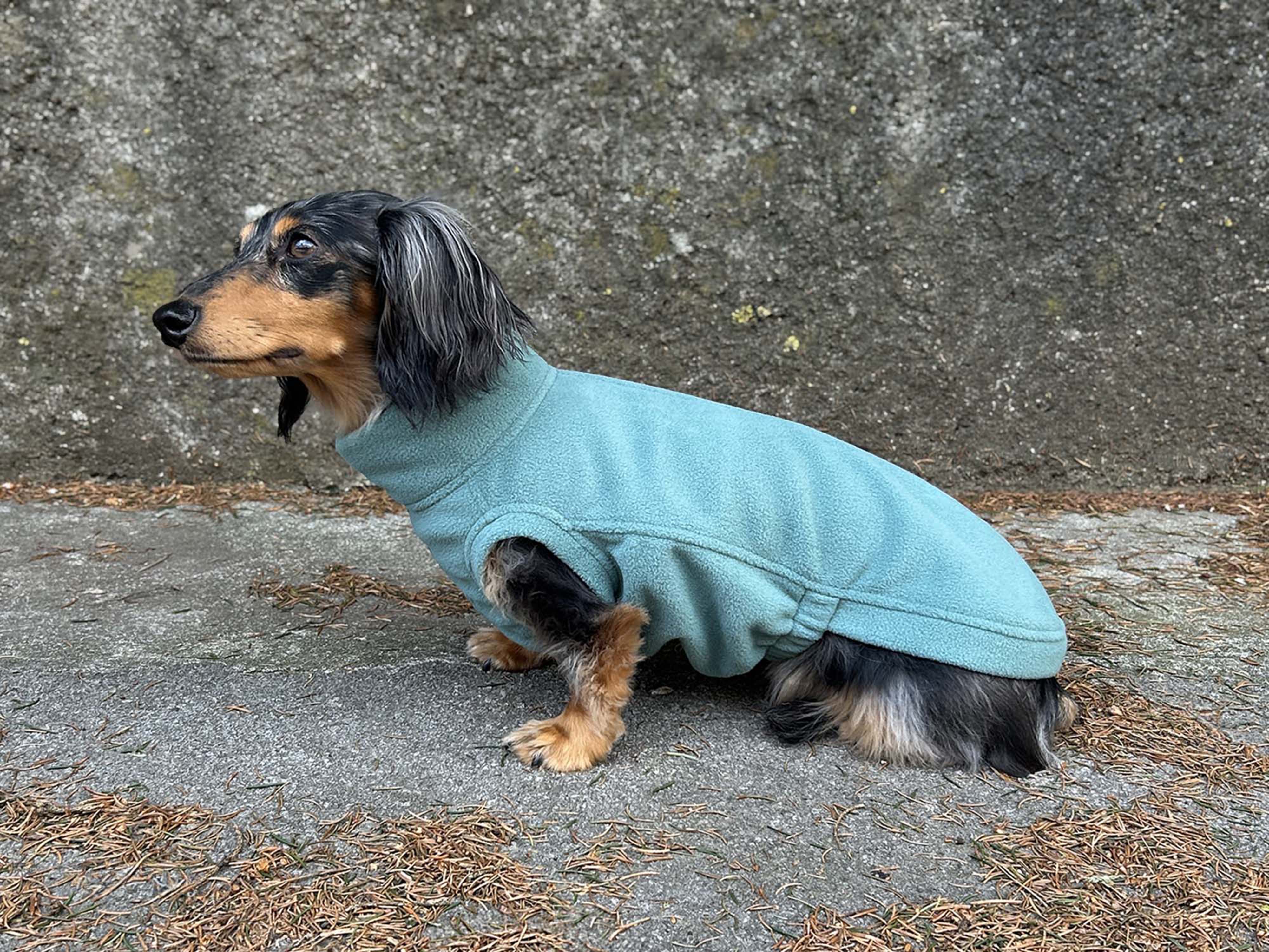 Dachshund Fleece Shirt