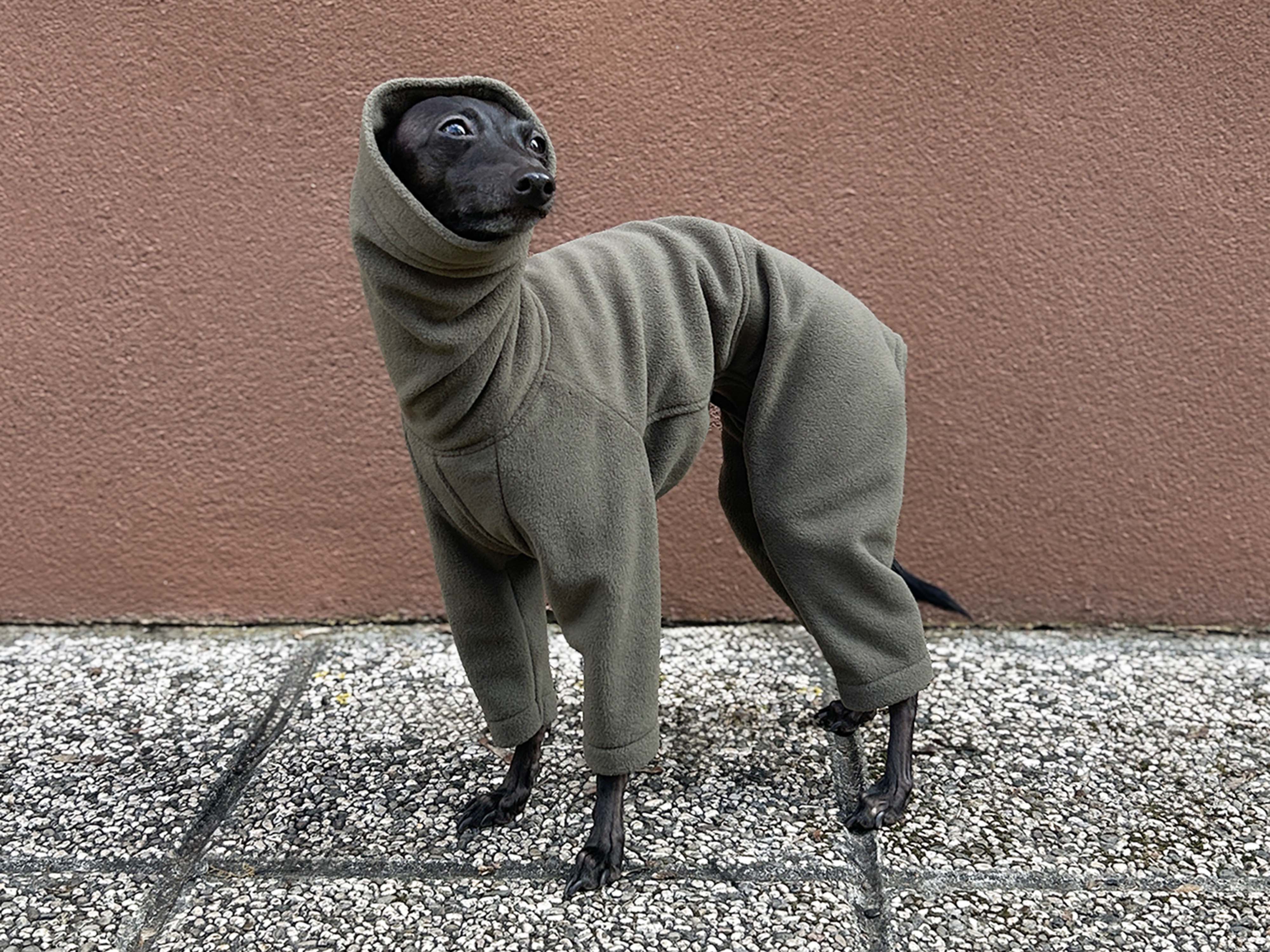 Italian Greyhound Turtleneck Pajamas