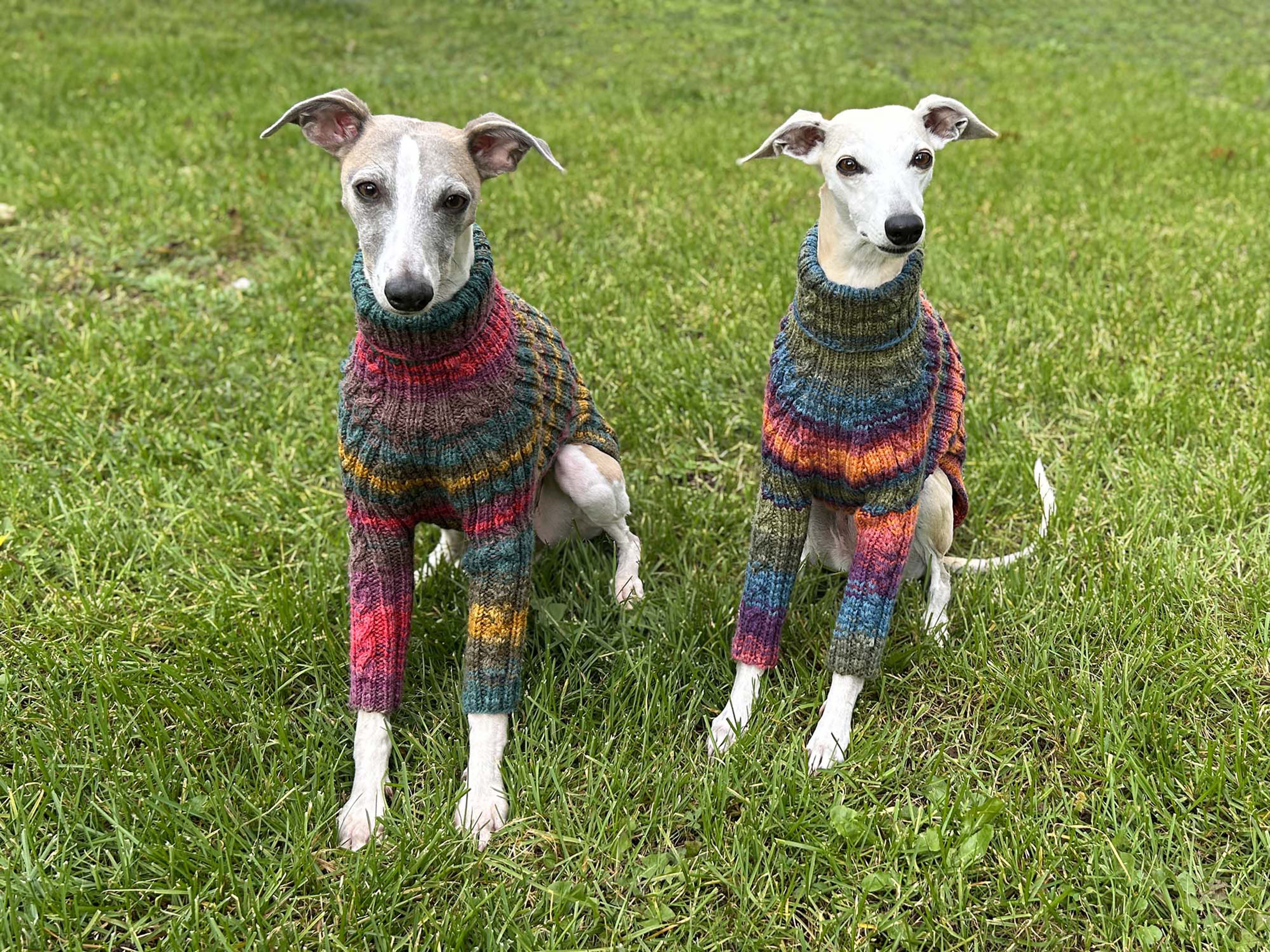 IN STOCK / Whippet Sweater with Sleeves