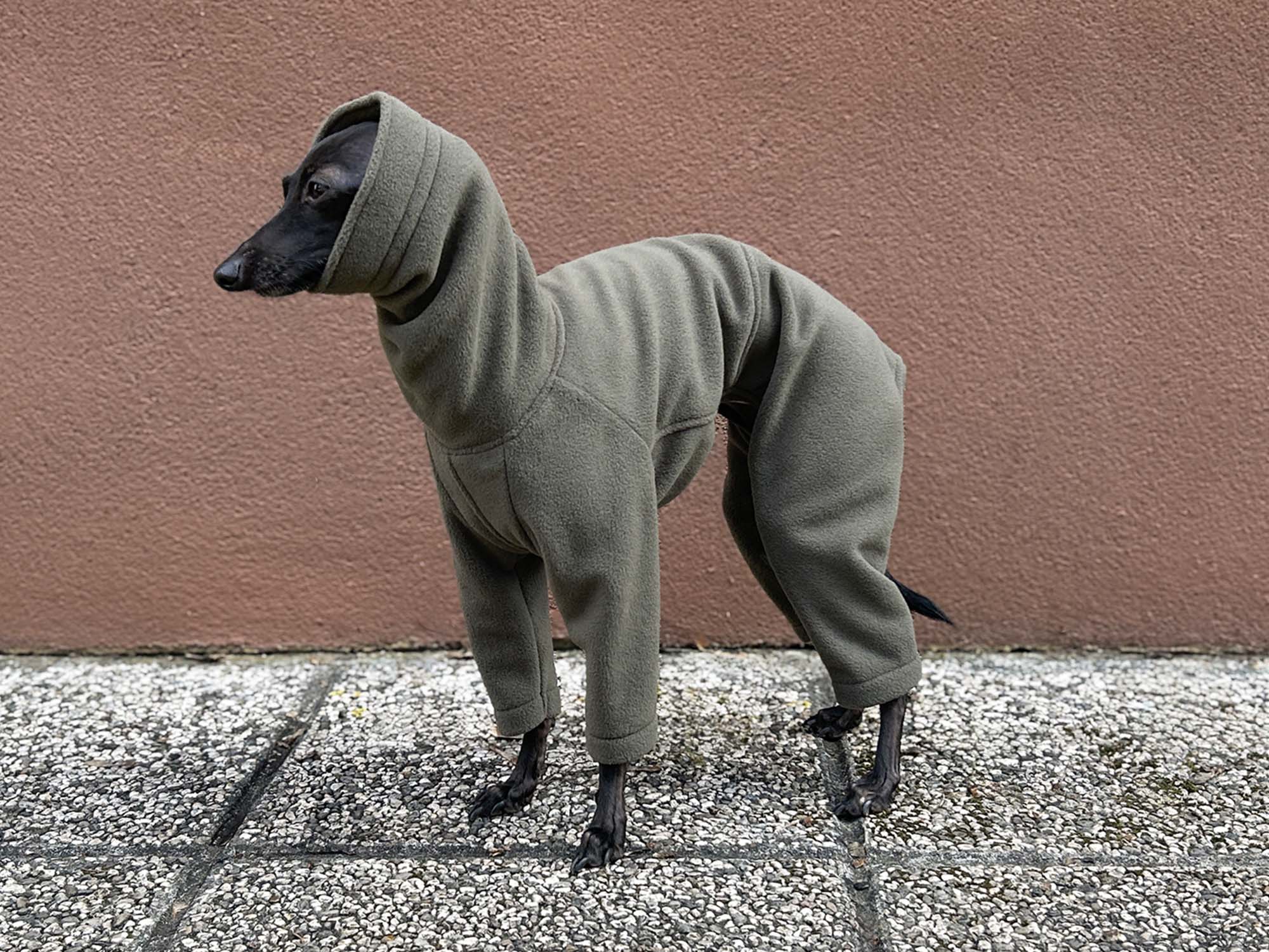 Italian Greyhound Turtleneck Pajamas
