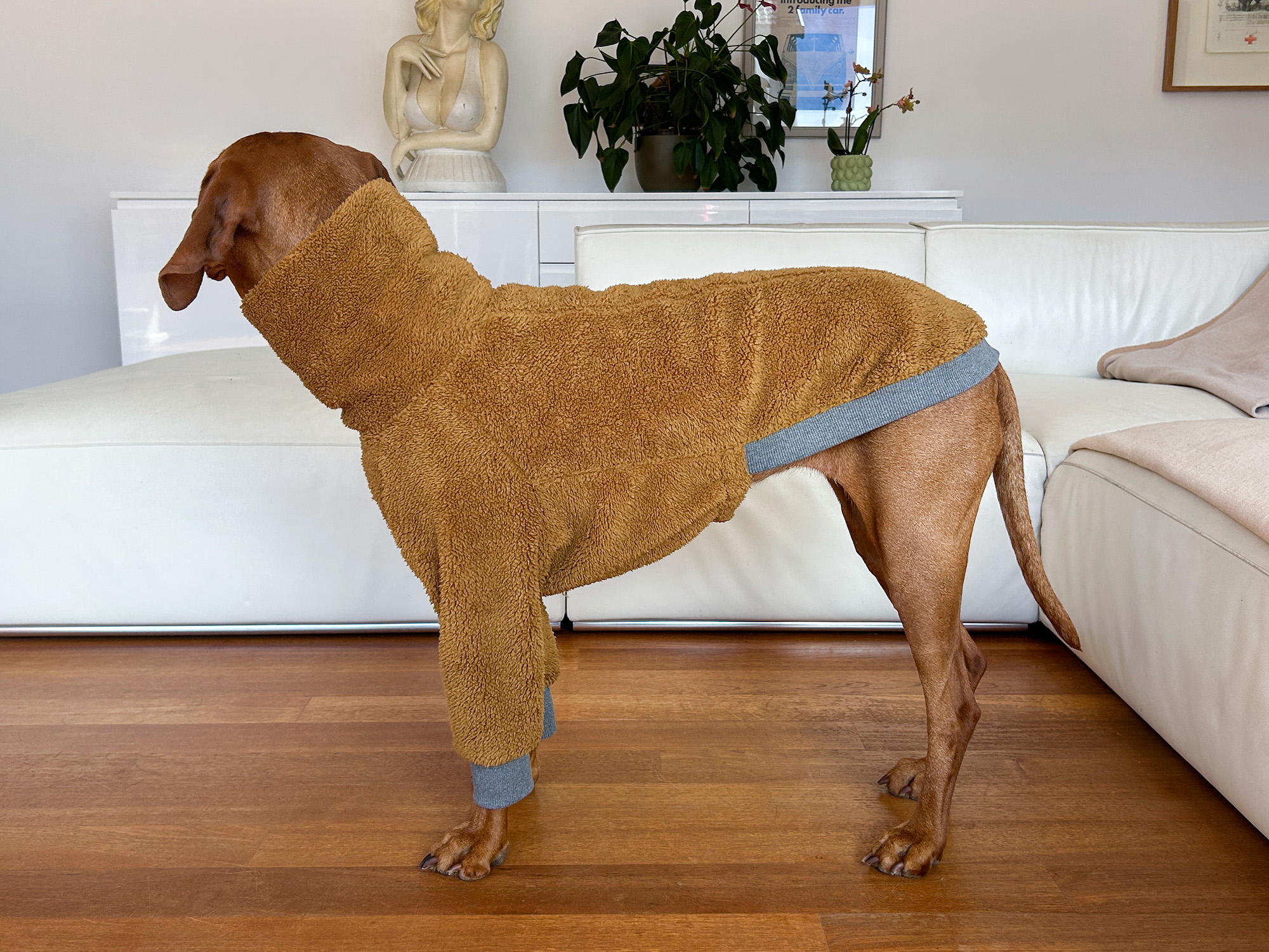 Vizsla Plush T-Shirt