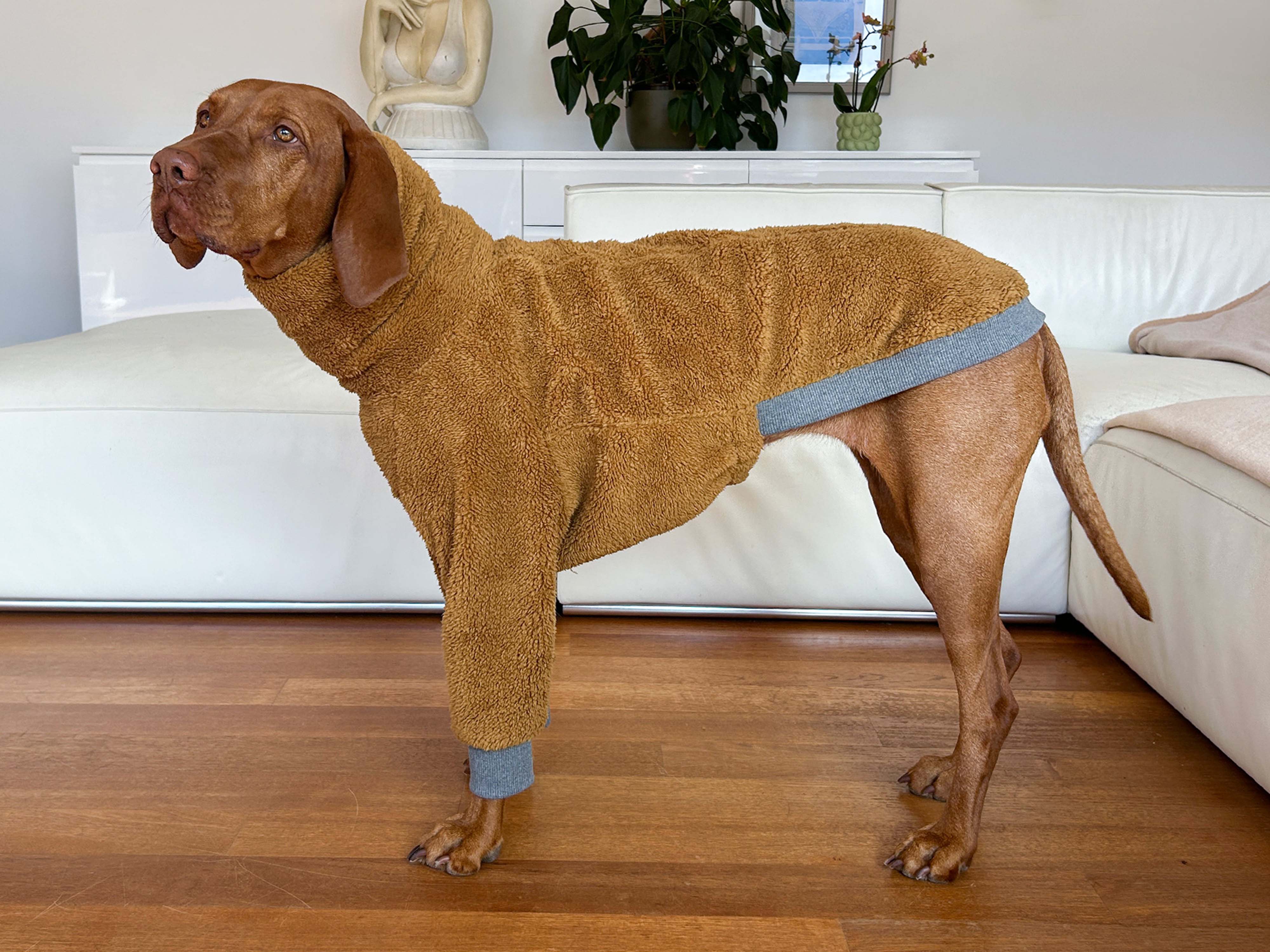 Vizsla Plush T-Shirt