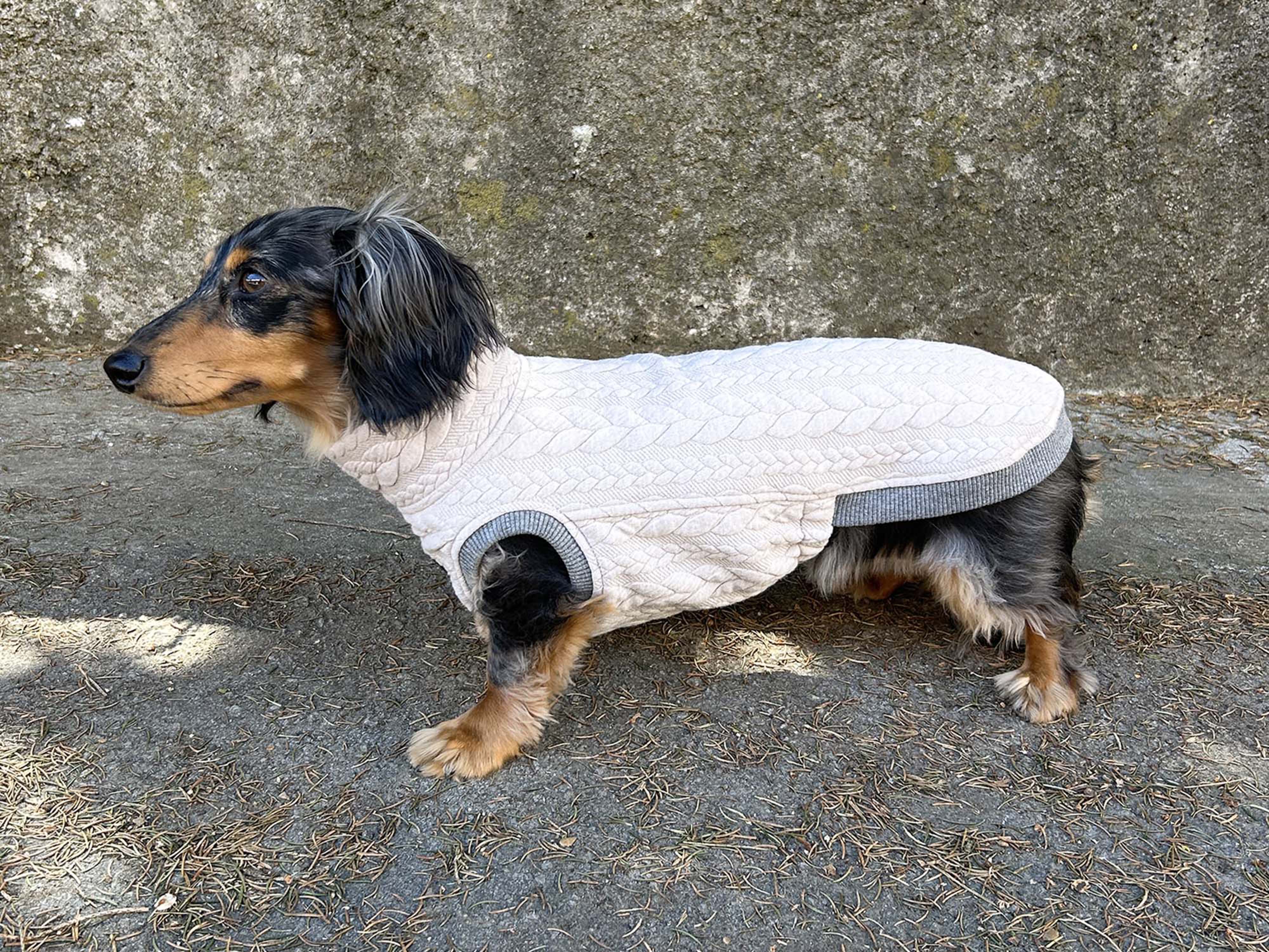 Dachshund Shirt