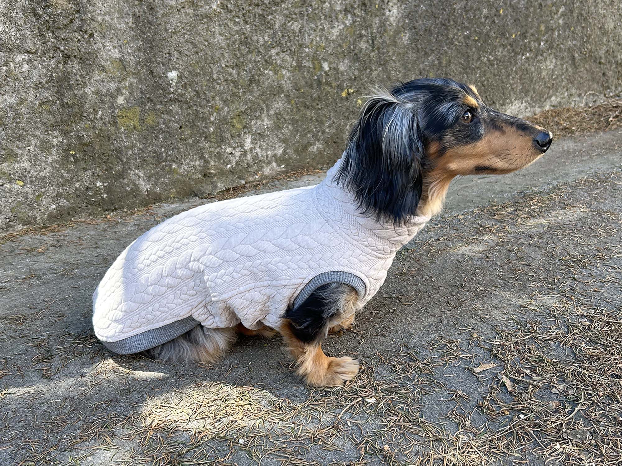 Dachshund Shirt