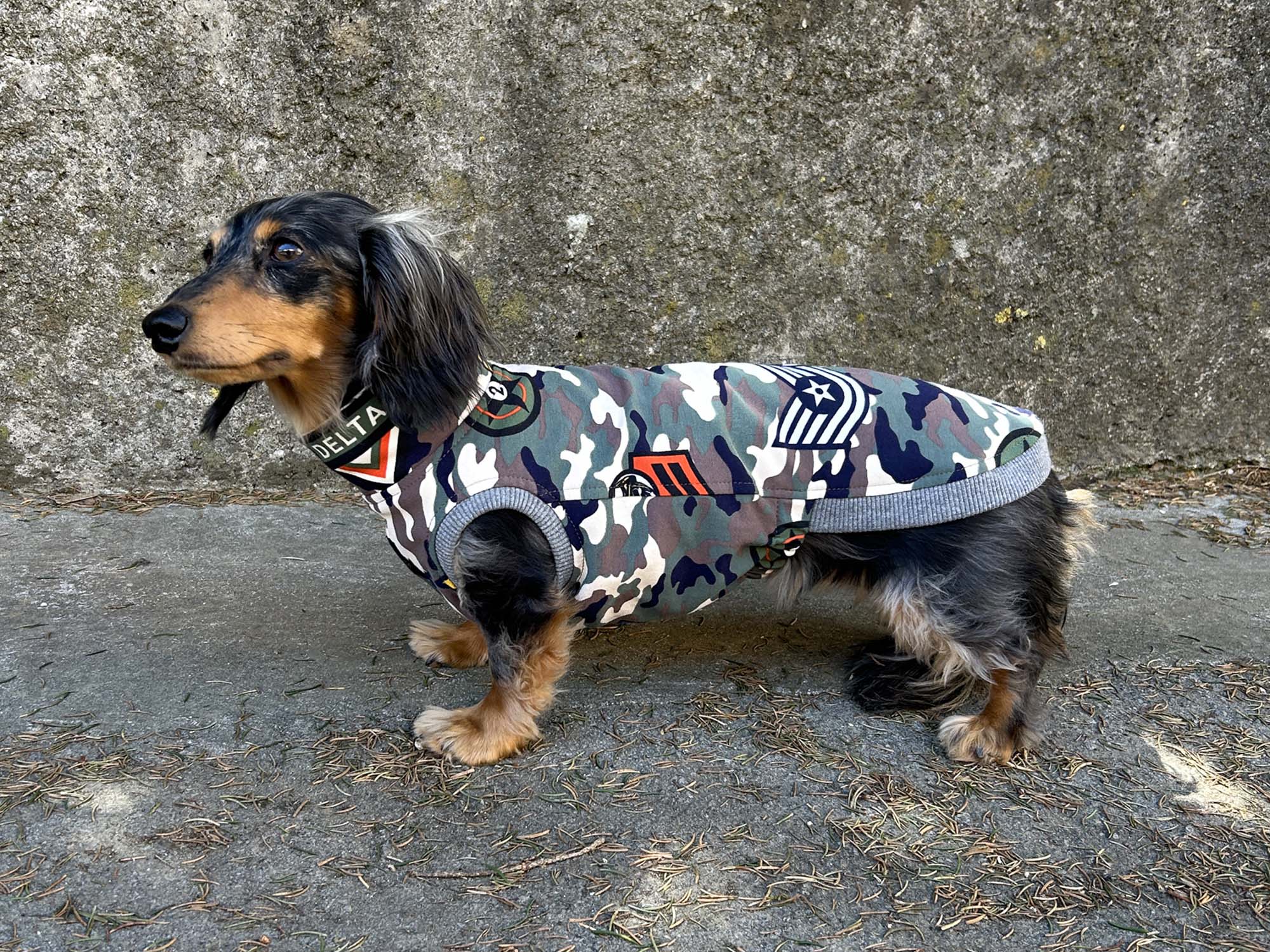 Dachshund Army Shirt