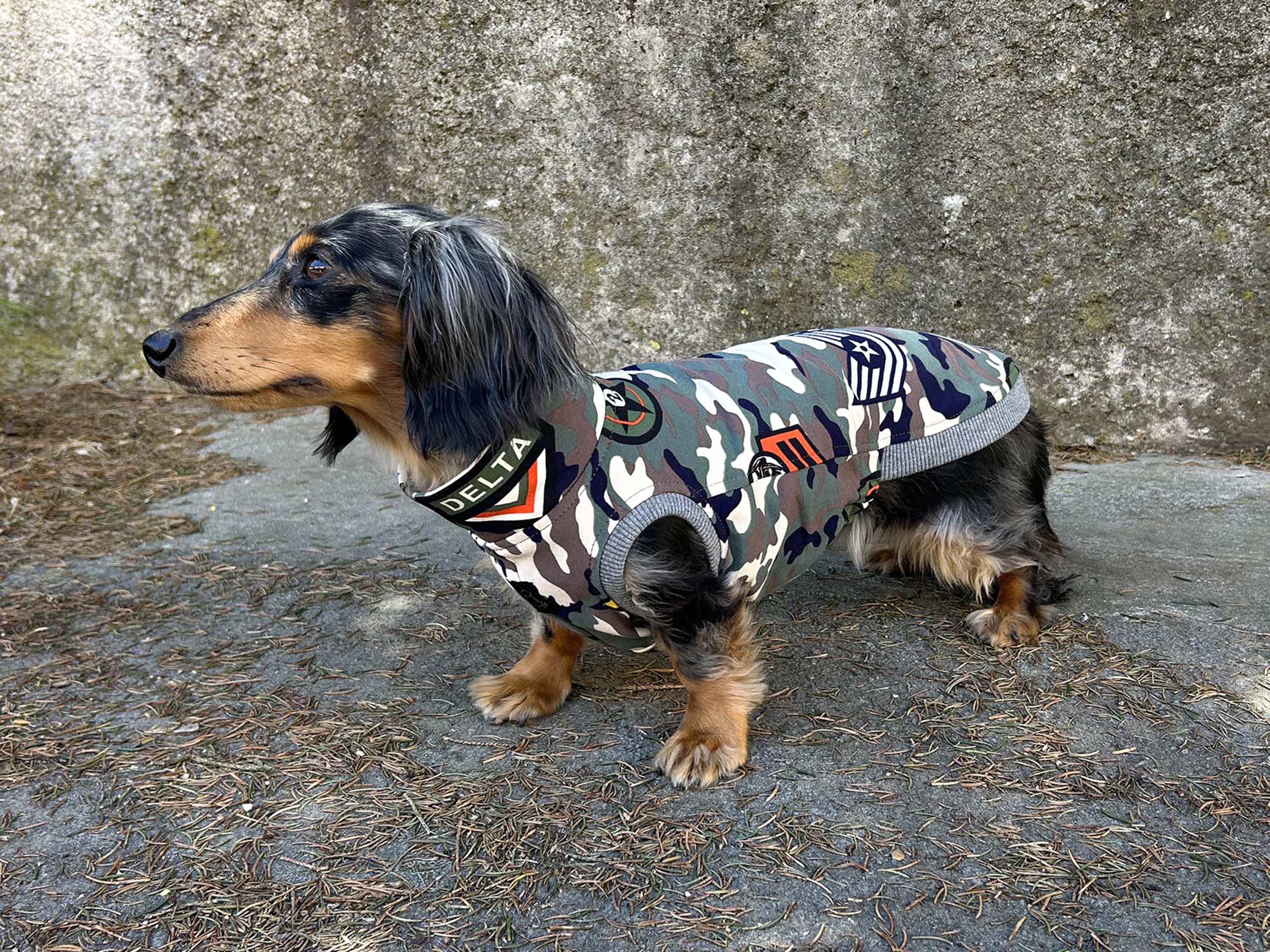 Dachshund Army Shirt