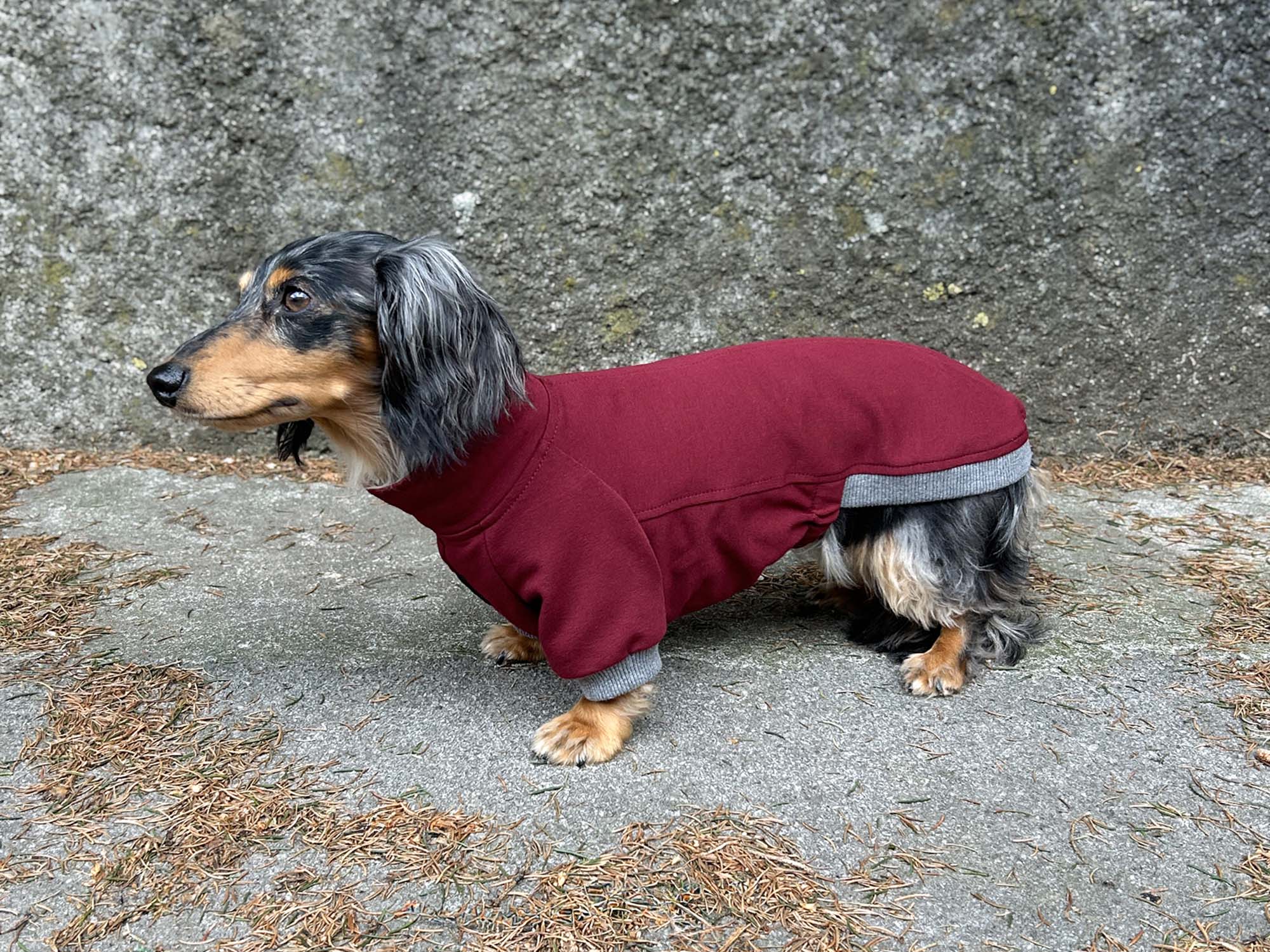 Dachshund Sweat T-Shirt