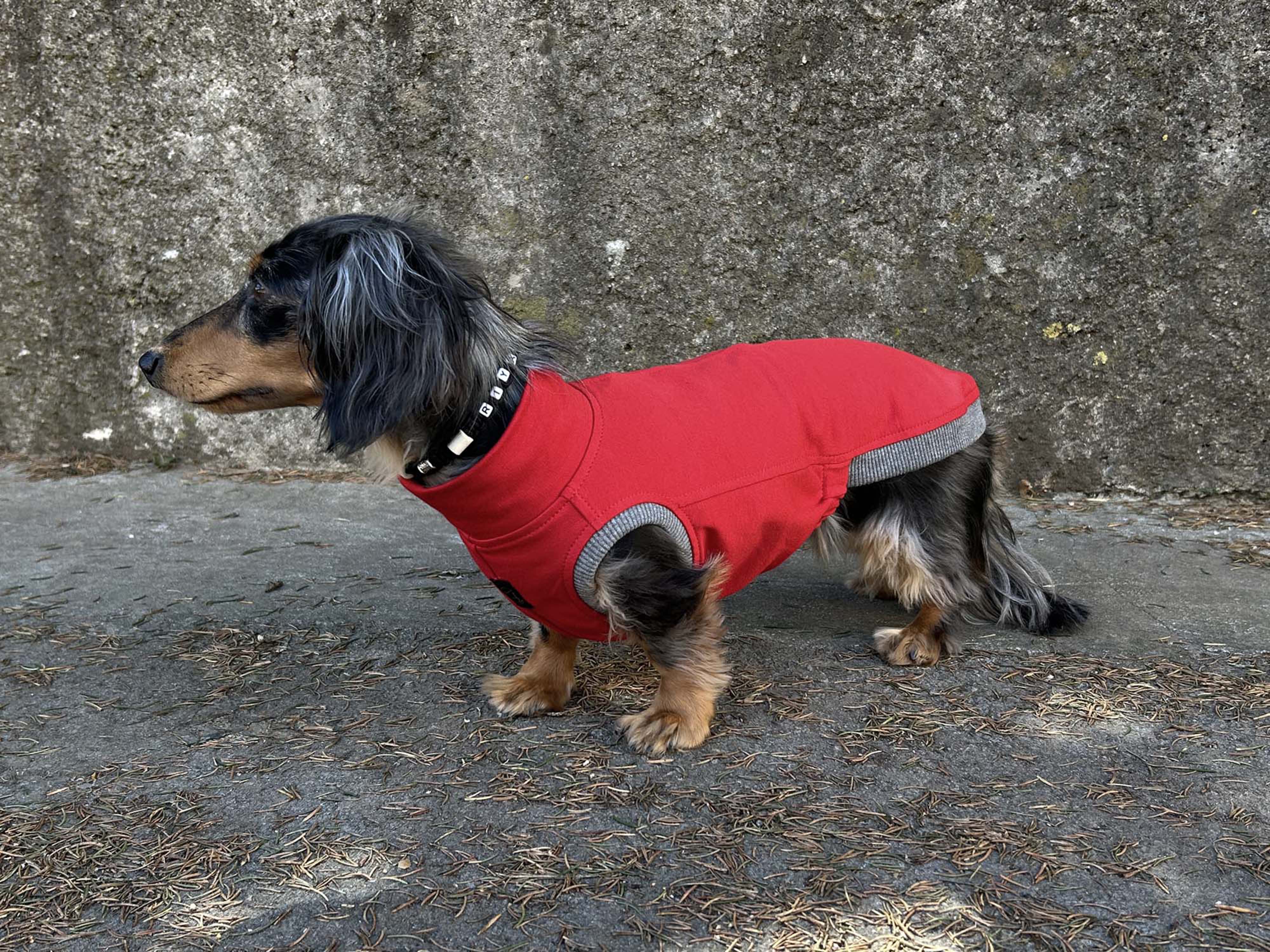 Dachshund Sweatshirt