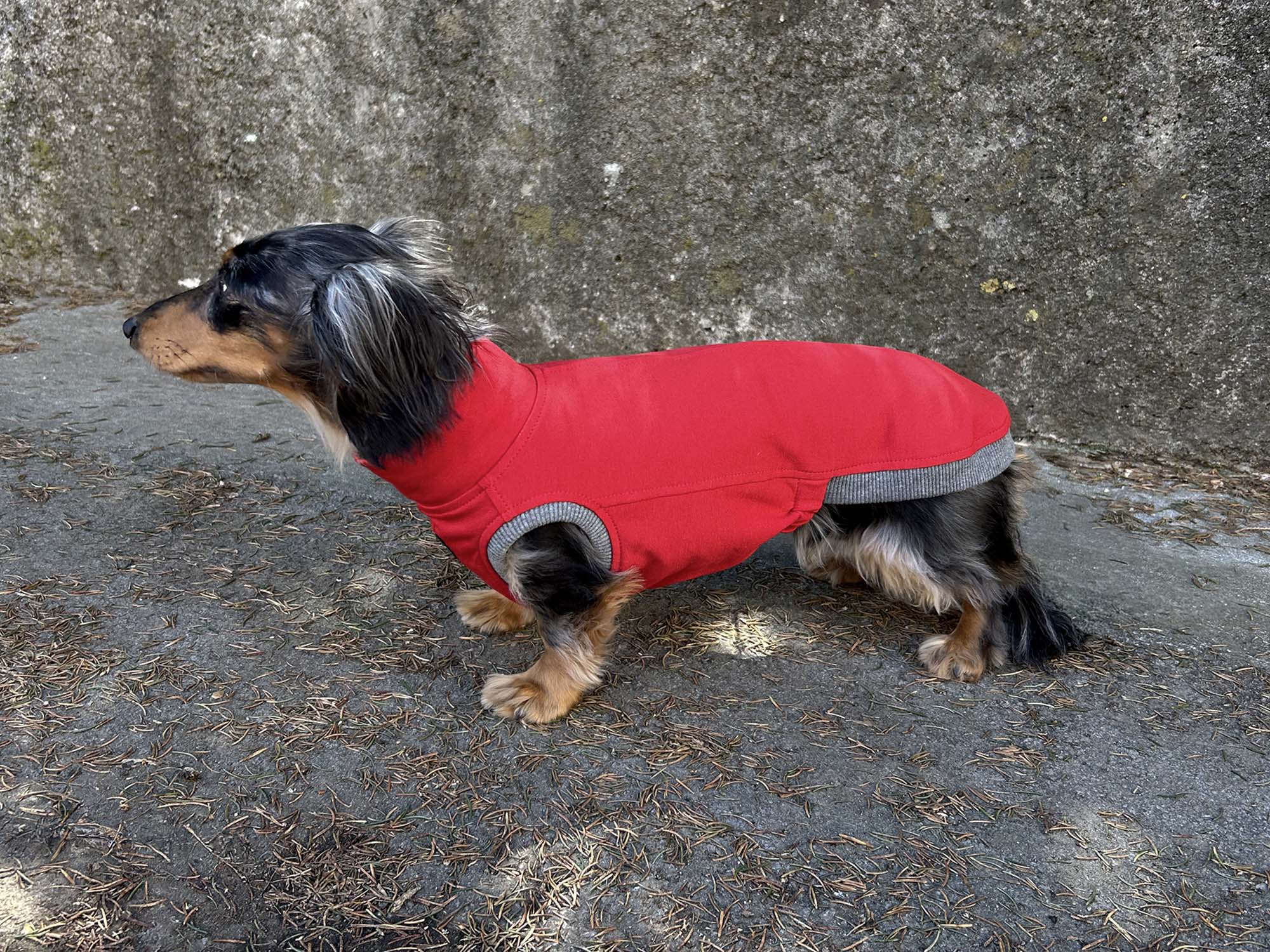 Dachshund Sweatshirt