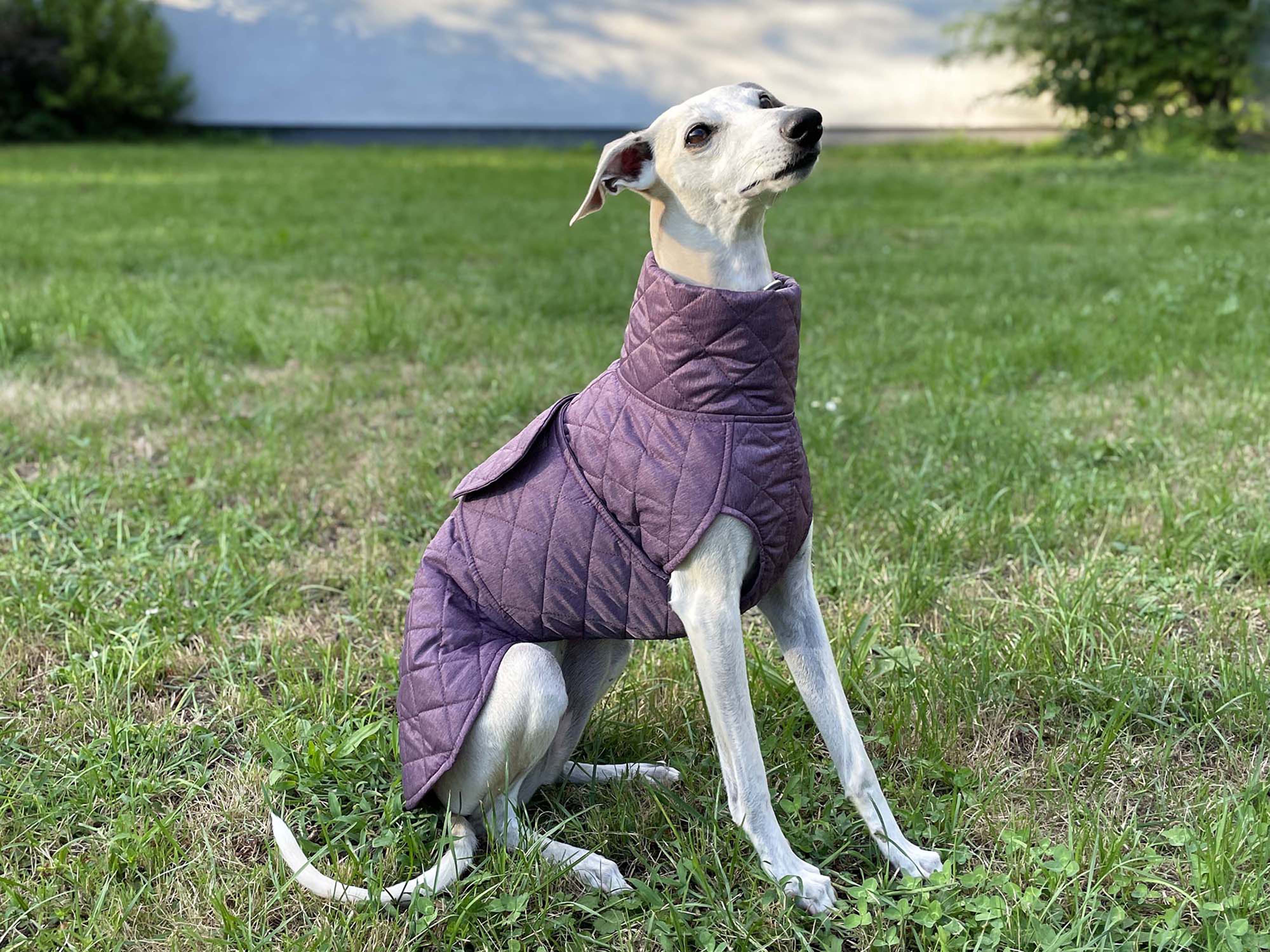 Whippet Quilted Coat