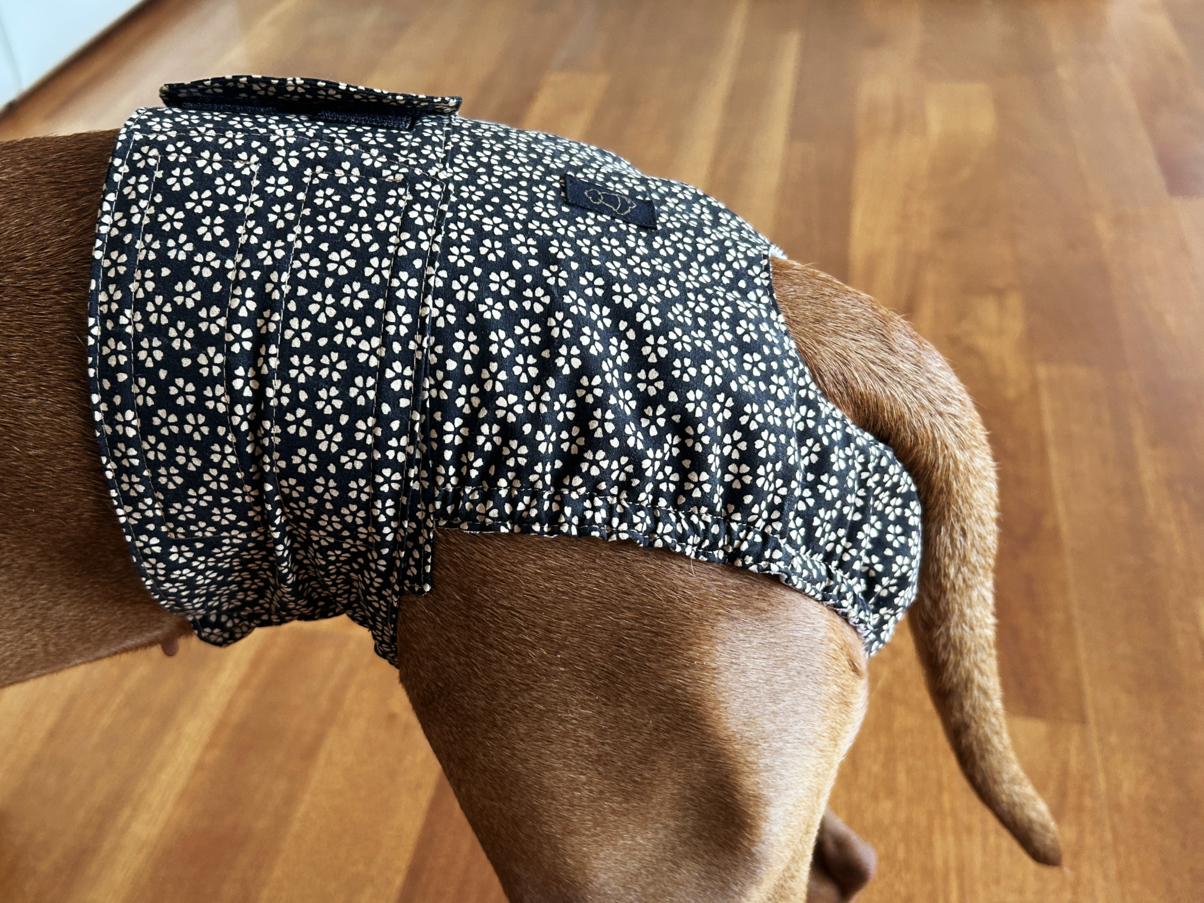 Dog Diaper Pants