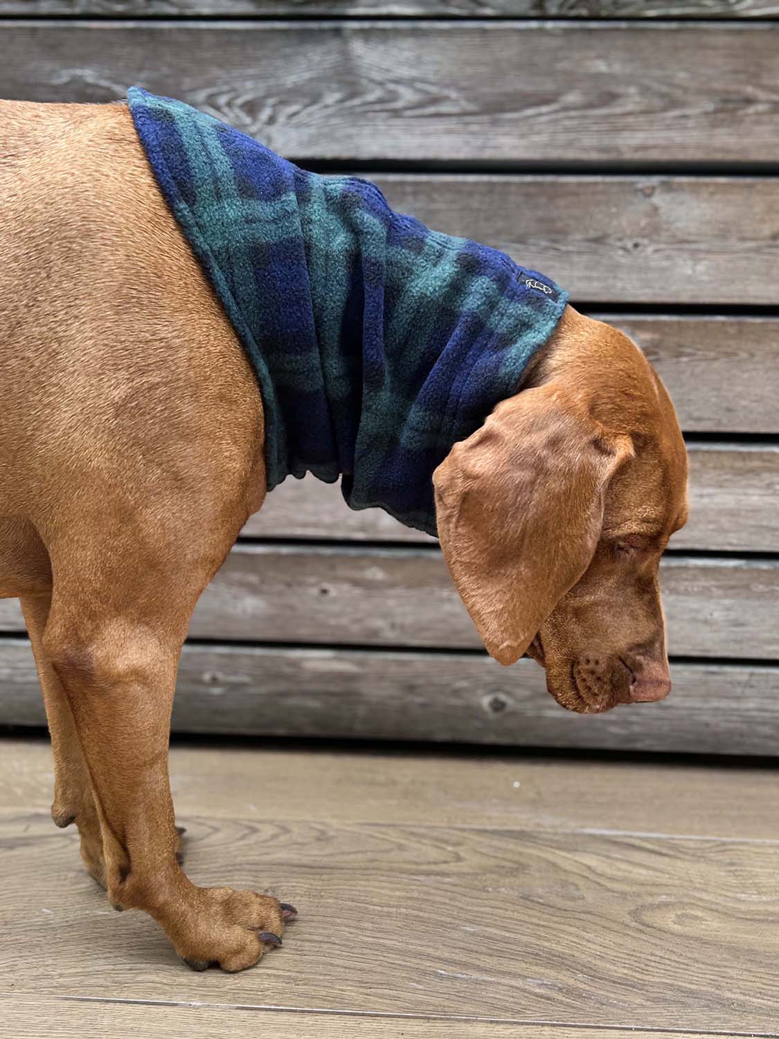 Dog Karo Neckwarmer