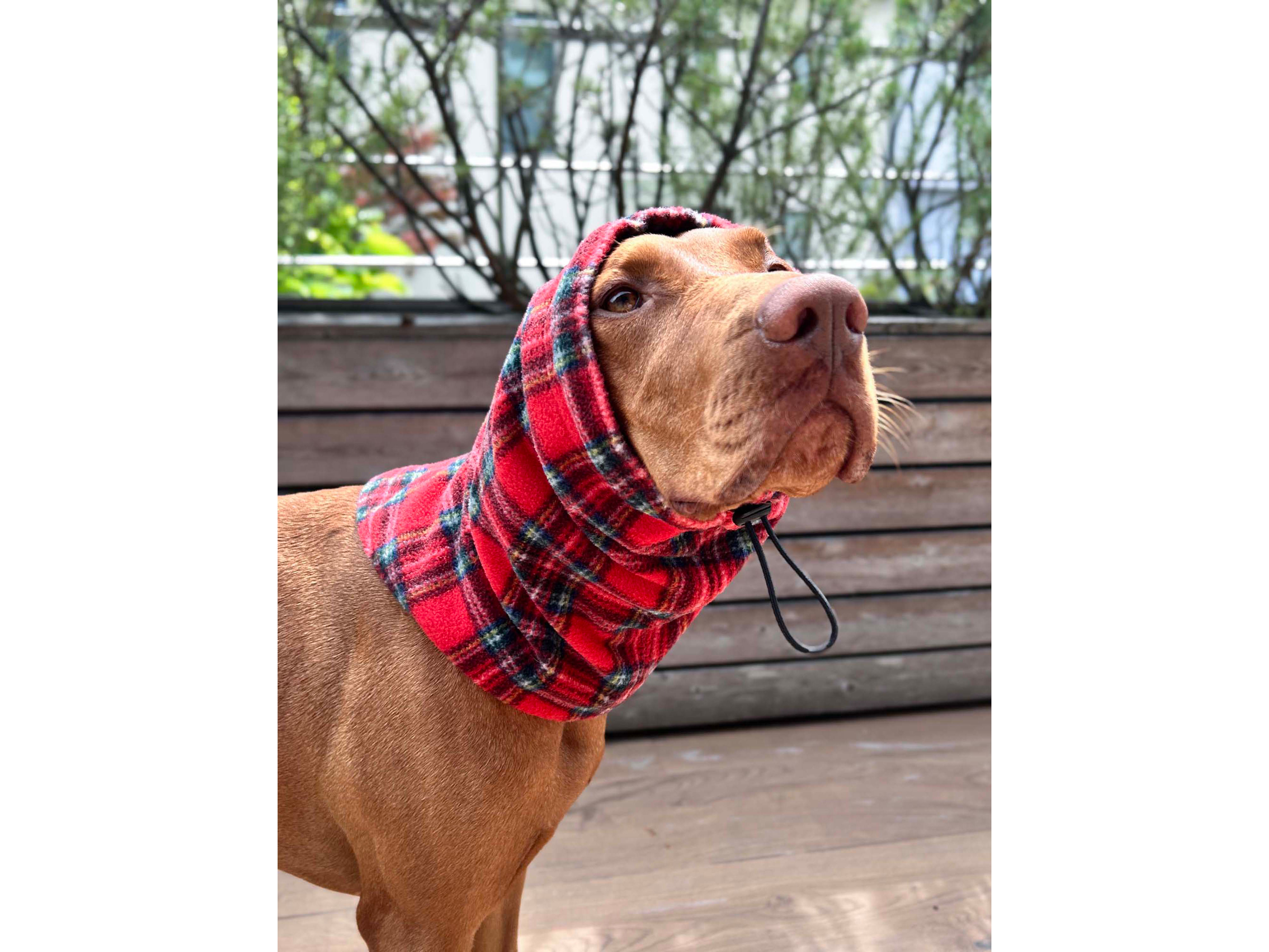 Dog Karo Snood