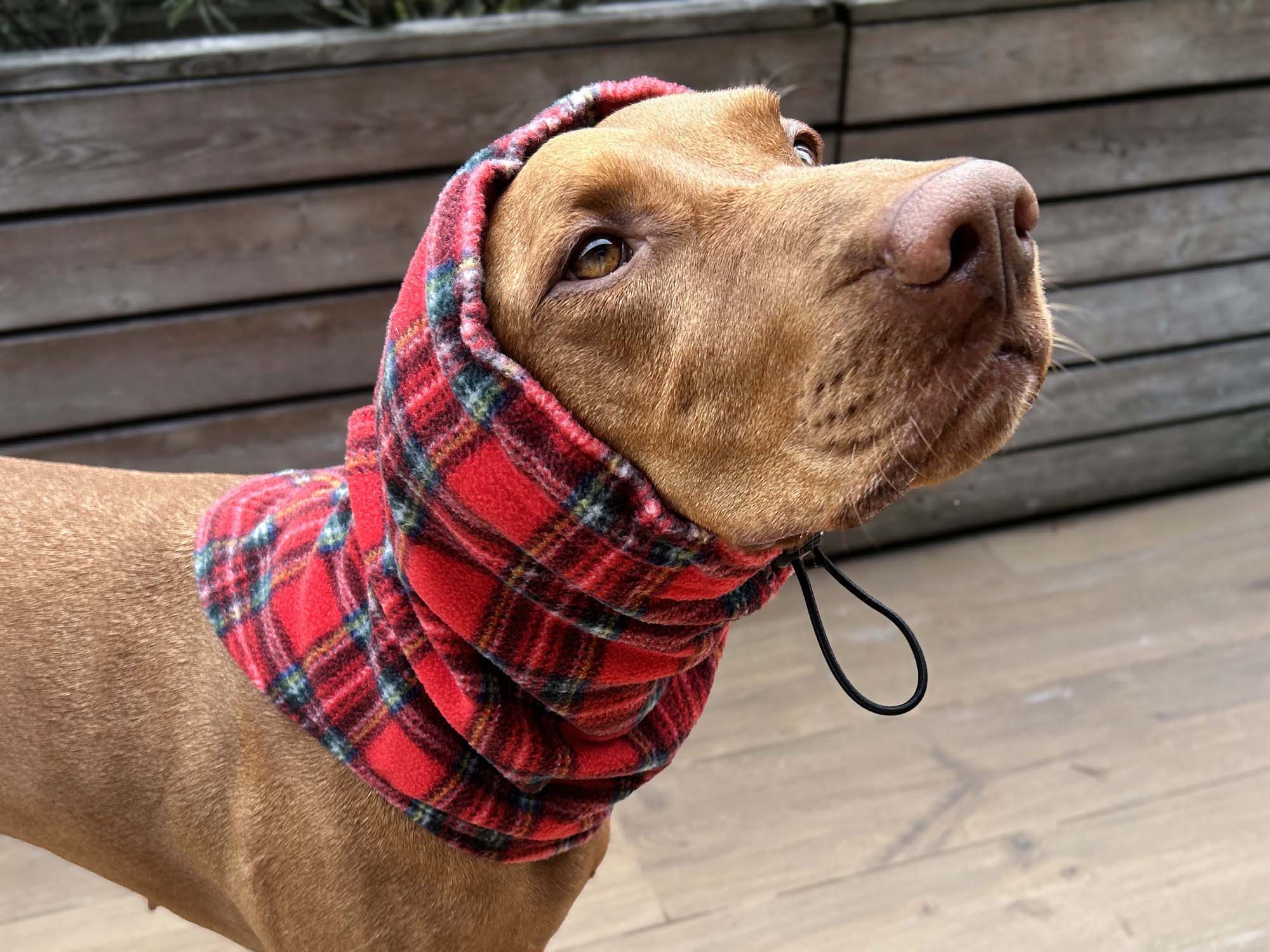 Dog Karo Snood