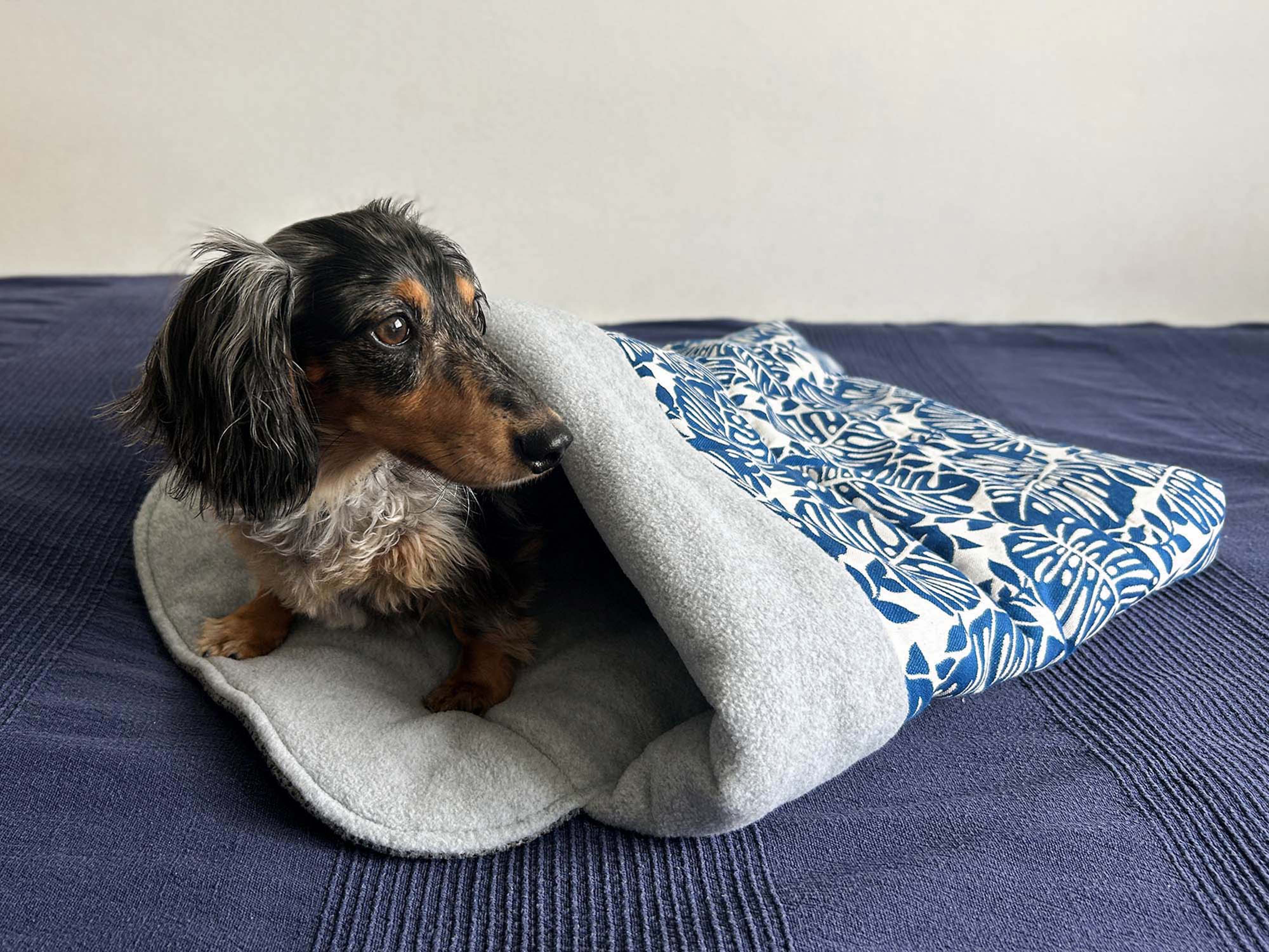 Dog Snuggle Bed